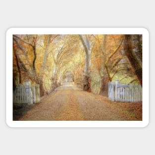 Colours of Autumn - Blakiston, The Adelaide Hills, SA Sticker
